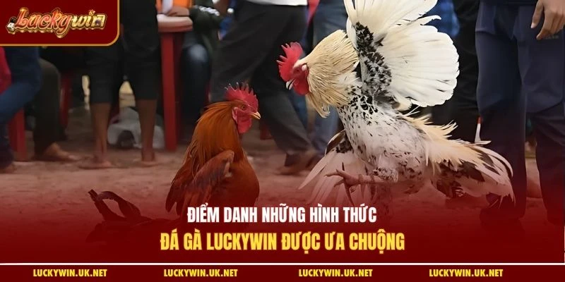 Điểm danh những hình thức đá gà Luckywin được ưa chuộng